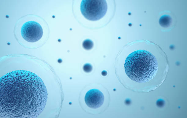 Molecular Oncology